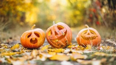 family halloween jackolantern