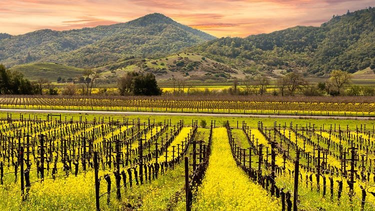 napa valley california