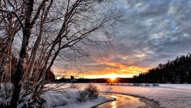 winter nature destination snow trees sun