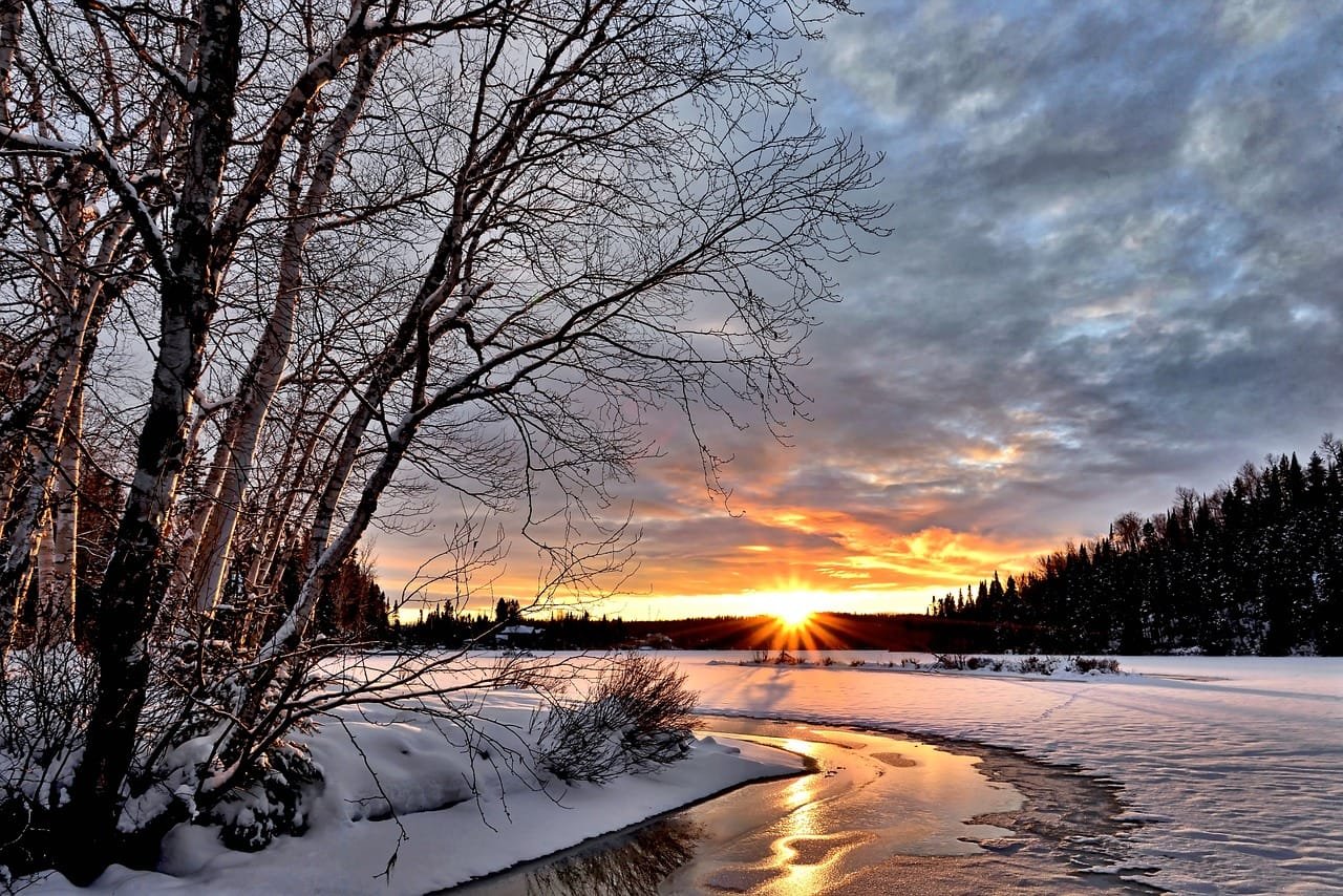 winter nature destination snow trees sun