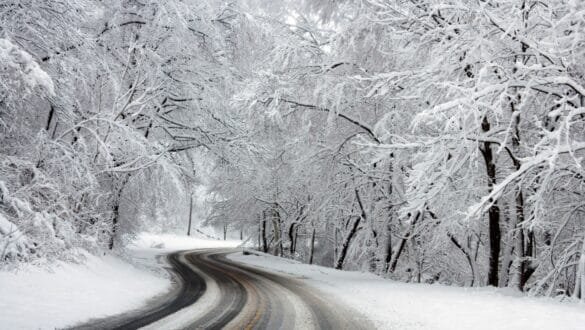 winter travel trends snow road